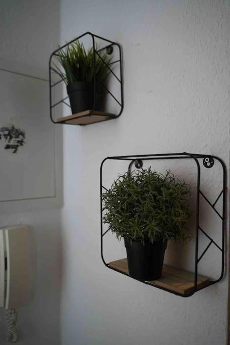 Luftiges Apartment Im Herzen Von דרזדן מראה חיצוני תמונה